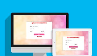 甘肃市妇联数据信息三级报送系统