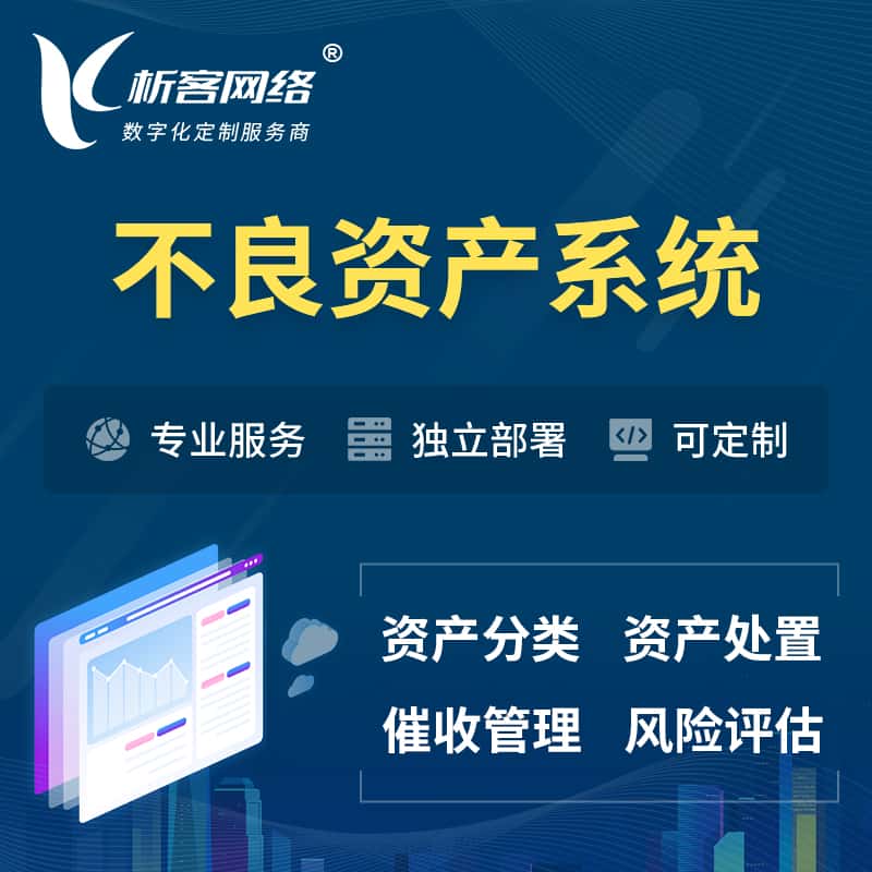 甘肃不良资产管理系统