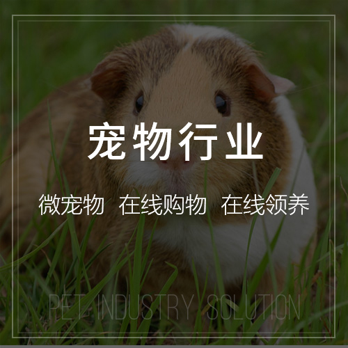 甘肃deepseek部署在企业数据挖掘中的价值